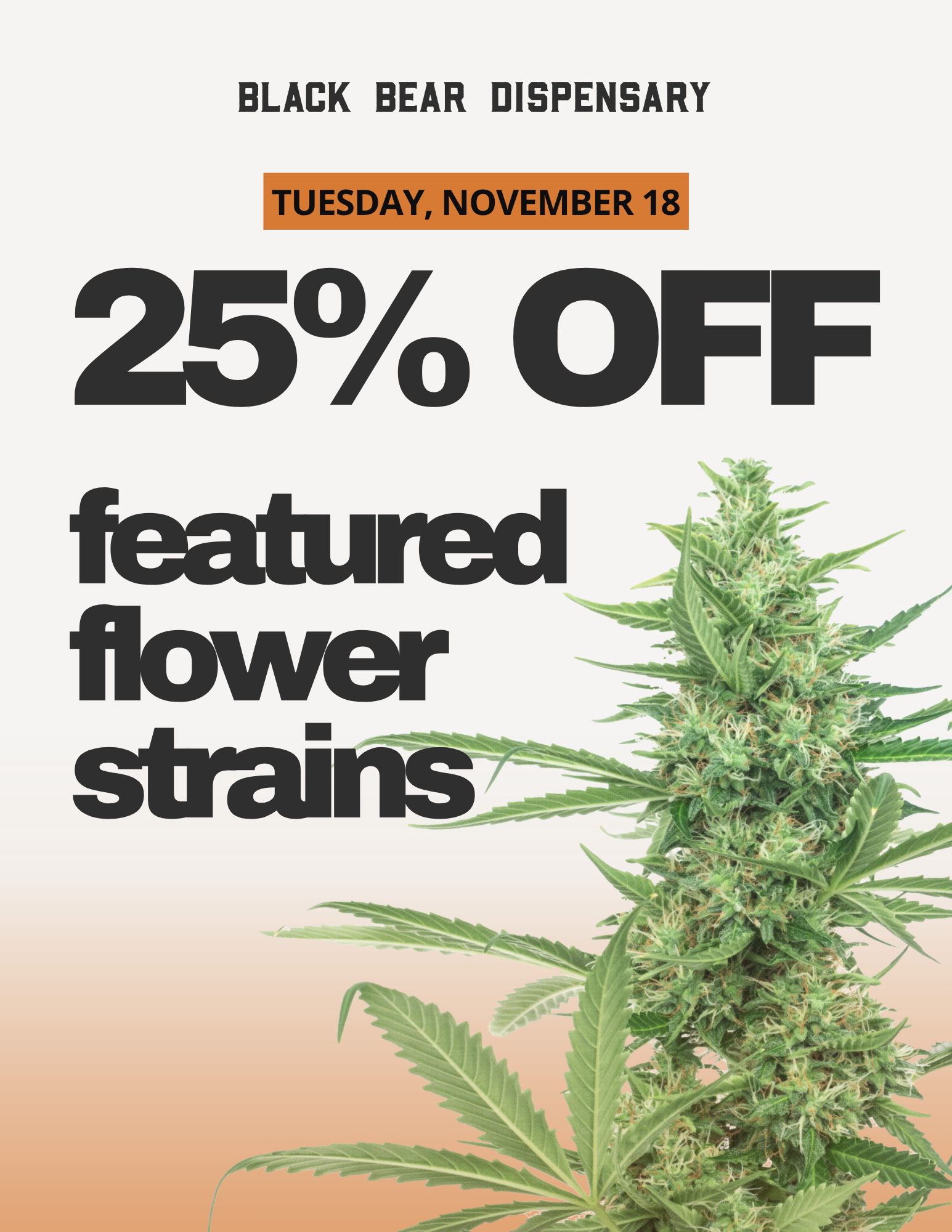 25offFeaturedStrains